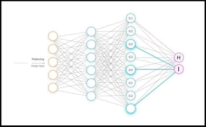 Fully Connected