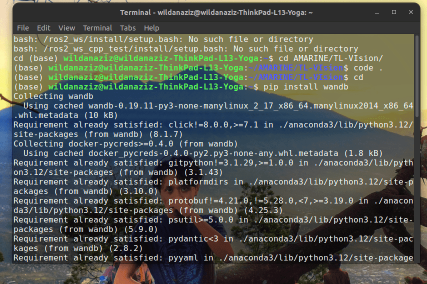 install wandb