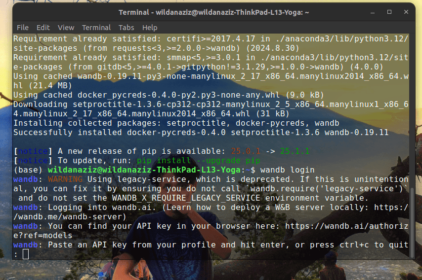 wandb login